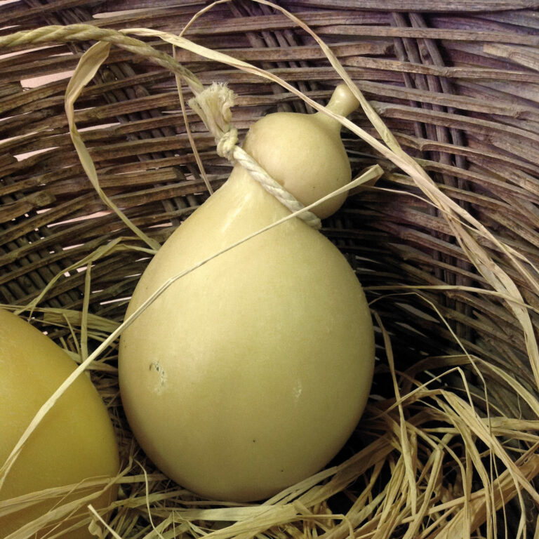 Apulia Slowfood: Caciocavallo Podolico and other Gargano products