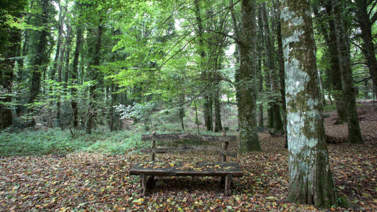 Scannamugliera “Jazzo Ognissanti” – Historic Nature Trail