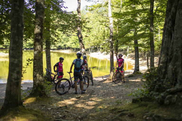 Cycling in the Umbrian Forest