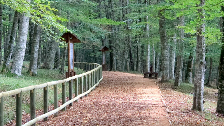 La via Micaelica. La religiosità da Roma a Monte Sant’Angelo